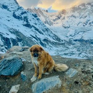 Annapurna Base Camp 