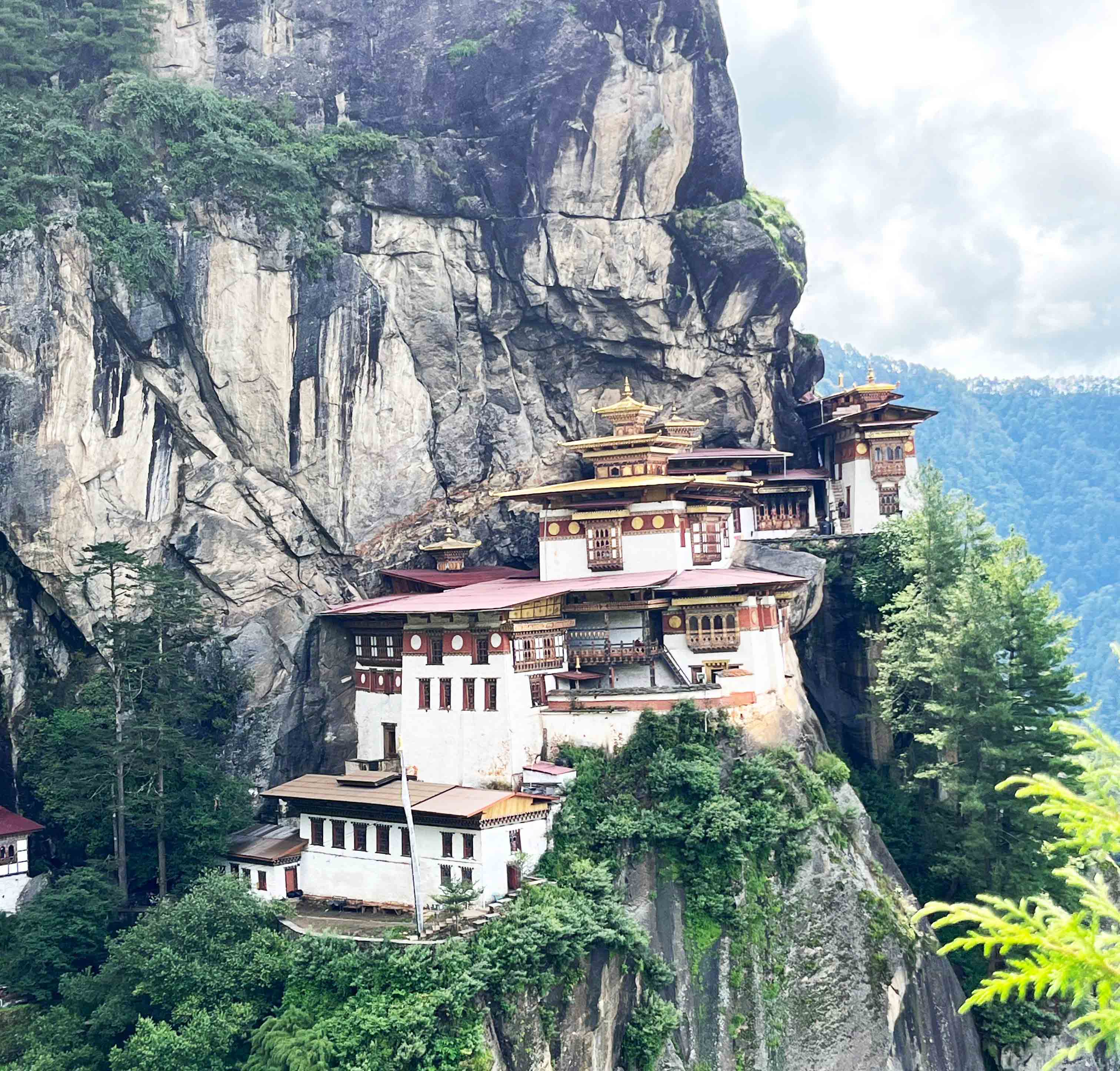 Tiger-Nest 