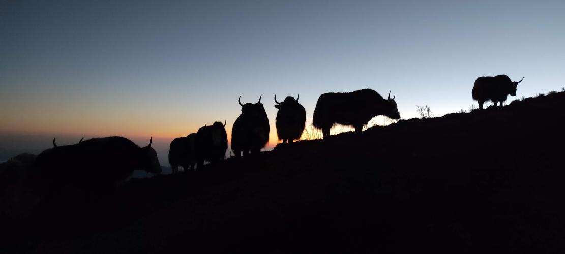 Top destinations nepal.jpg 