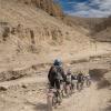 upper mustang motorcyc...