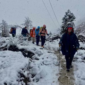 Snow fall - trekking  